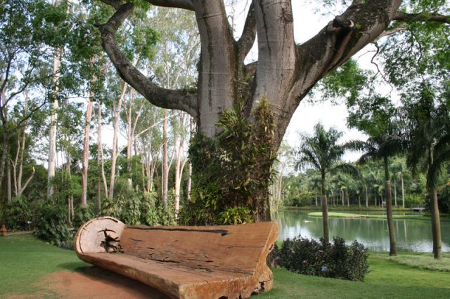 Banco esculpido por Hugo França em Inhotim