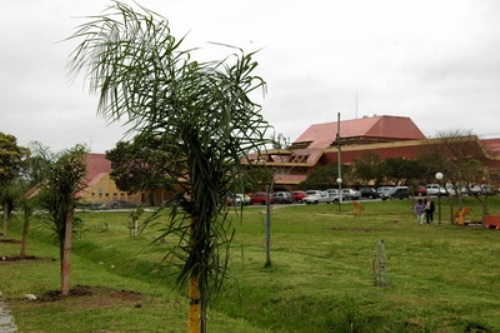 Rodoviária de Pelotas