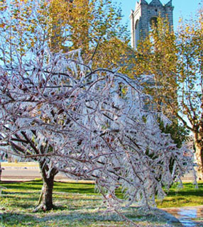 São Joaquim - viaje no inverno