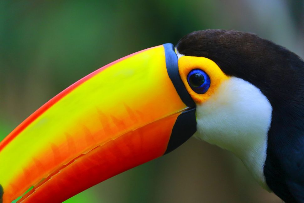 quando começa baixa temporada