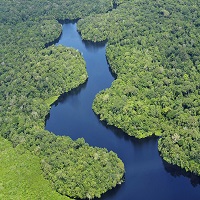 amazônia