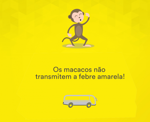 macaco febre amarela rodoviariaonline