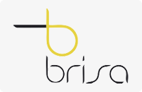 logo viação brisa