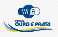 logo viação ouro e prata
