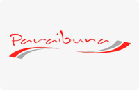 logo viação paraibuna