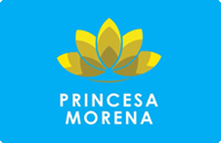logo viação princesa morena