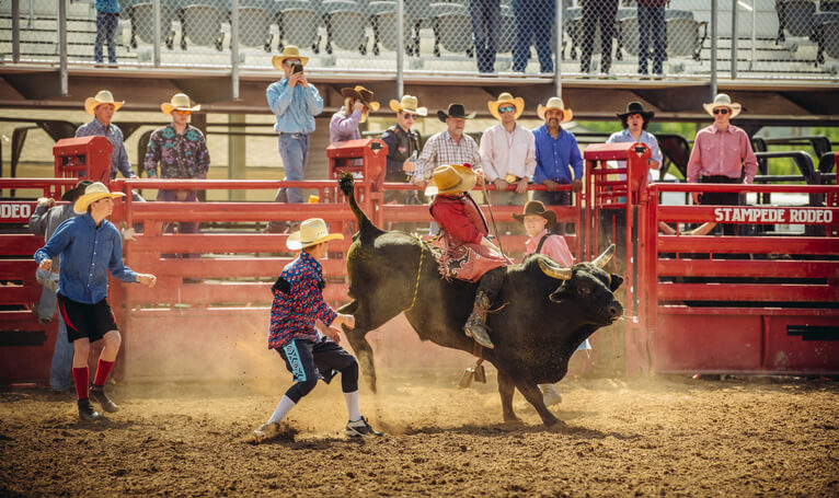 Gosta de uma adrenalina? Que tal um rodeio!?