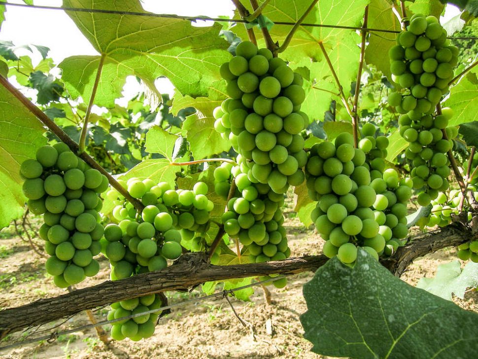 o que fazer em jundiai