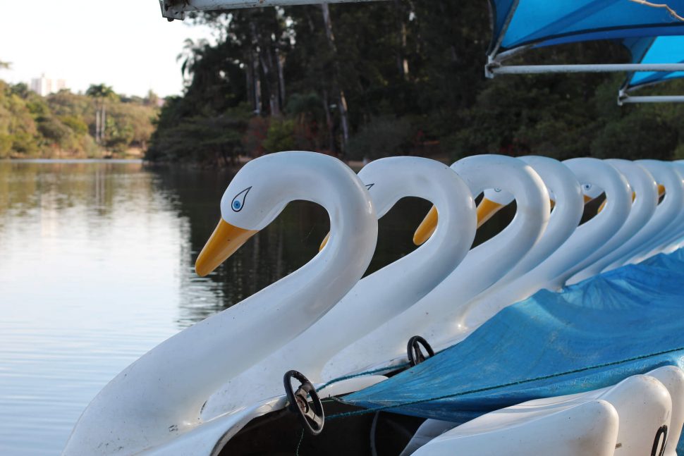 viagem para campinas