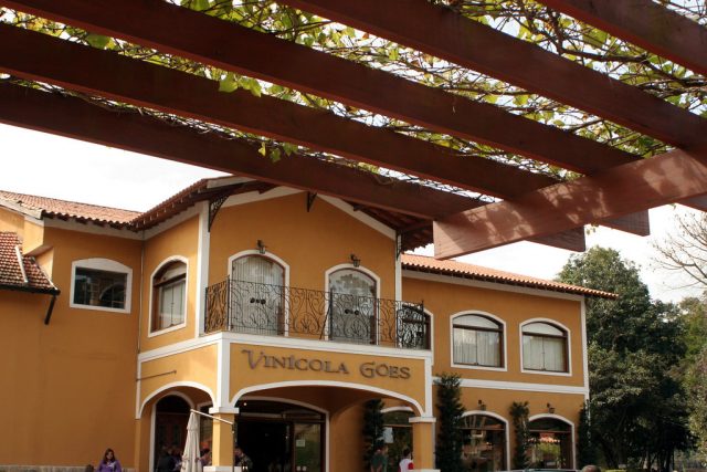 imagem de uma vinícola