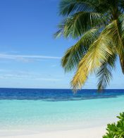 organizar as finanças para viajar mais