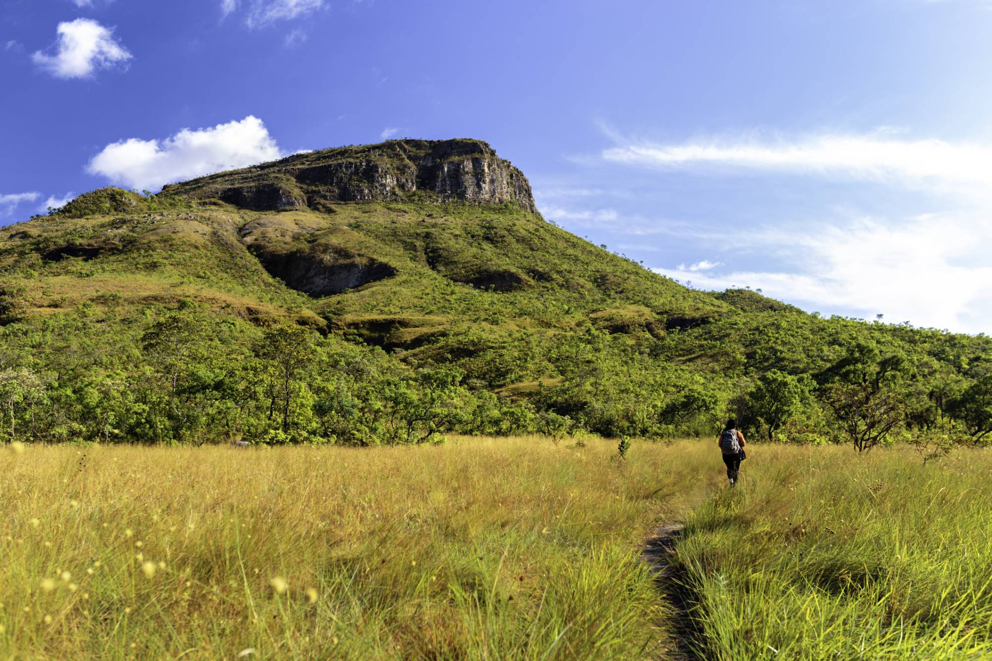 Passagem para Chapada dos Veadeiros: saiba porquê você deve conhecer esse paraíso passagem para chapada dos veadeiros