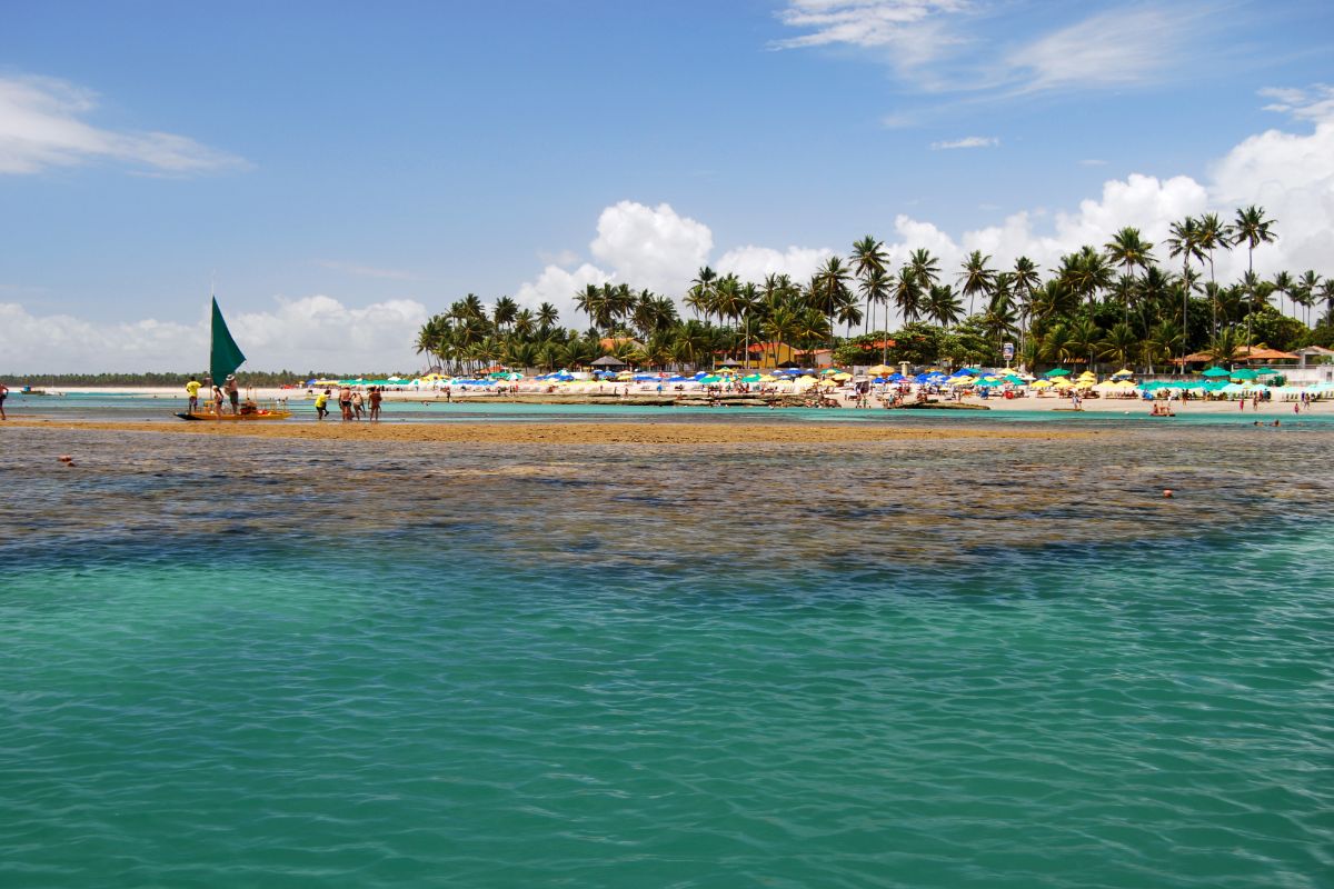 Confira as 5 melhores praias de Recife e como chegar até elas as melhores praias de recife