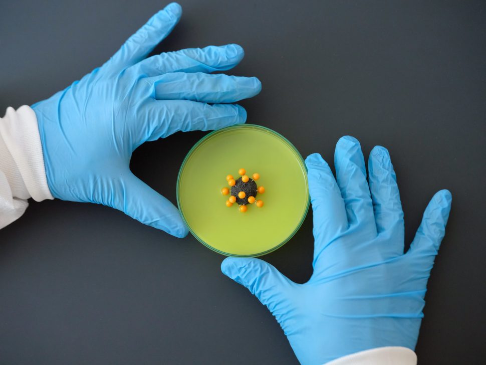 o que se esperar de 2022